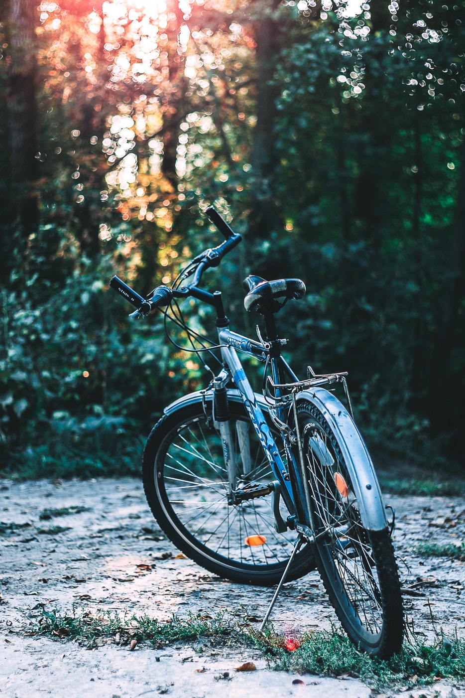 Langar Hall Bike